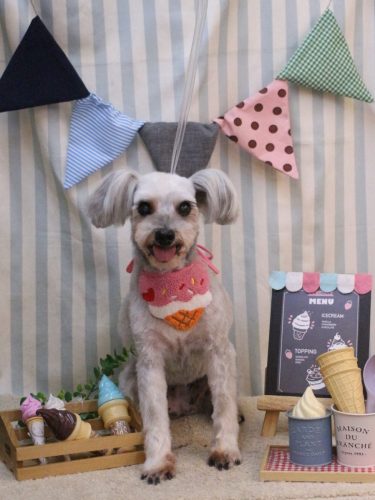 20250517ここちゃん